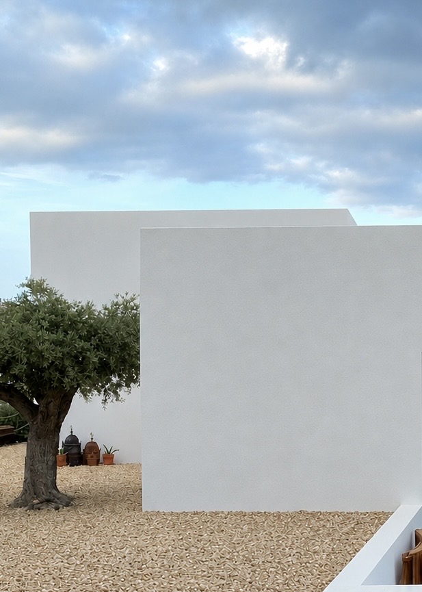Pati blanc amb olivera i graves clares